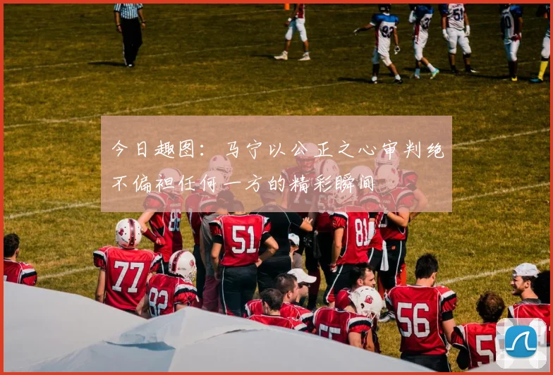 今日趣图：马宁以公正之心审判绝不偏袒任何一方的精彩瞬间